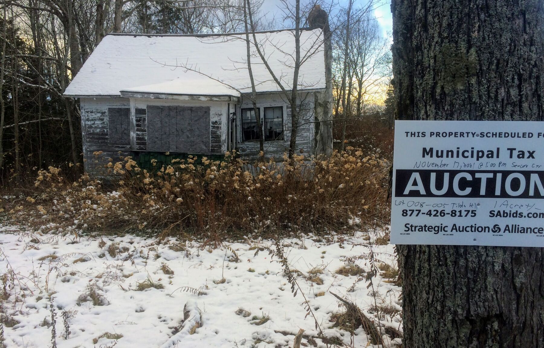 Florida auction6.JPG